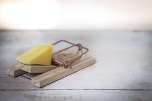 Photo d’une tapette à souris avec fromage